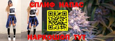 spice Заволжье