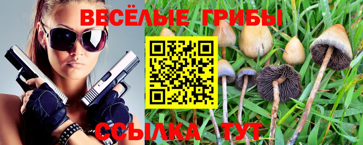 Псилоцибиновые грибы Psilocybine cubensis  дарнет шоп  Ливны  Вход с VPN 